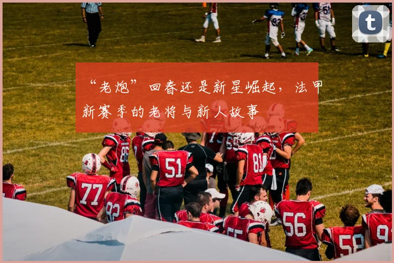 “老炮”回春还是新星崛起,法甲新赛季的老将与新人故事
